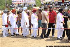 wallpaper.jpg