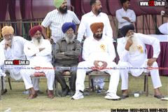 wallpaper.jpg