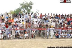 wallpaper.jpg