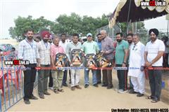 wallpaper.jpg