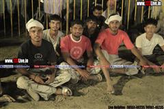 wallpaper.jpg