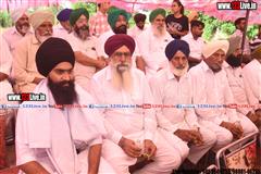 wallpaper.jpg